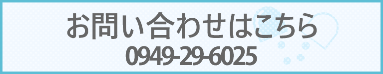 お問い合わせはこちら